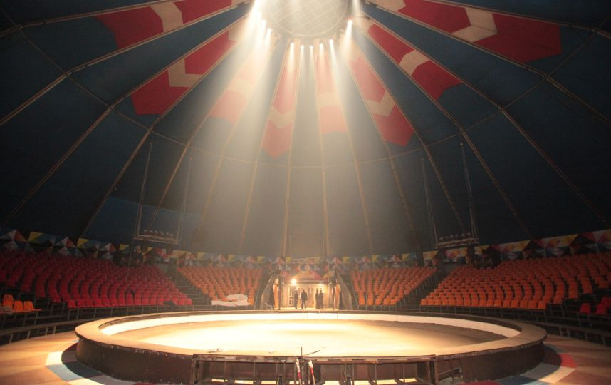 Цирк в Автово: афиша, билеты, скидки, режим работы, схема зала с ...