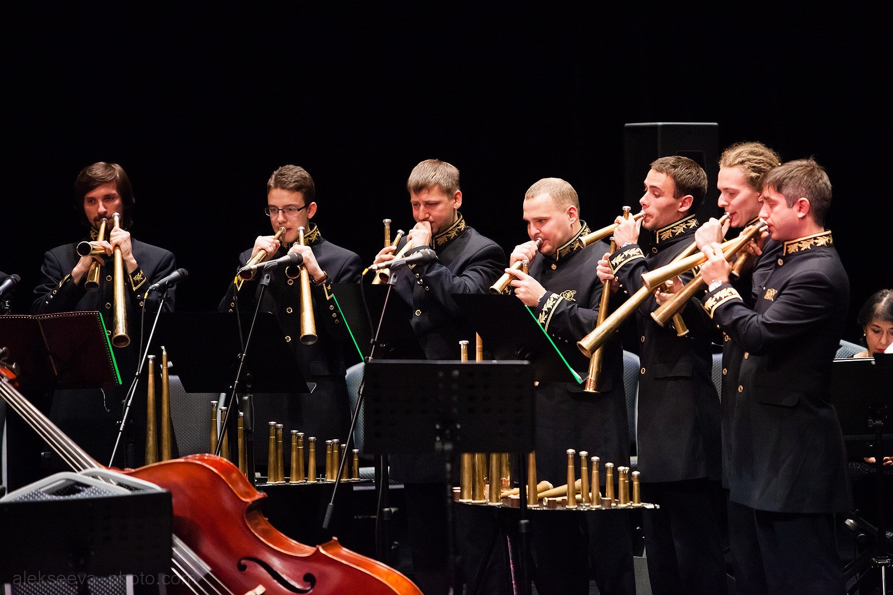 известные оркестры. тверской муниципальный духовой оркестр солисты фото. оркестр капеллы. дирижер краснодар. государственный академический симфонический оркестр россии.