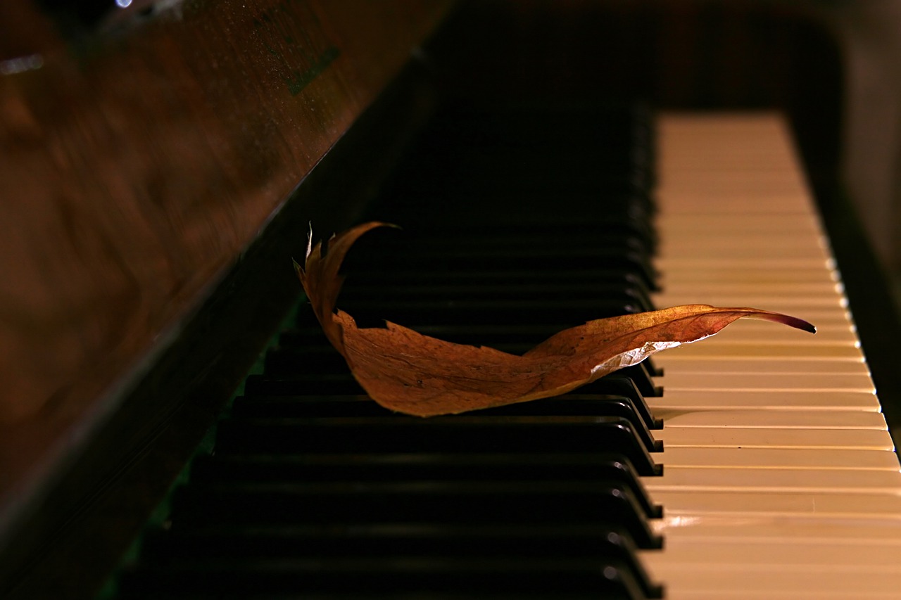 Пианино и листья