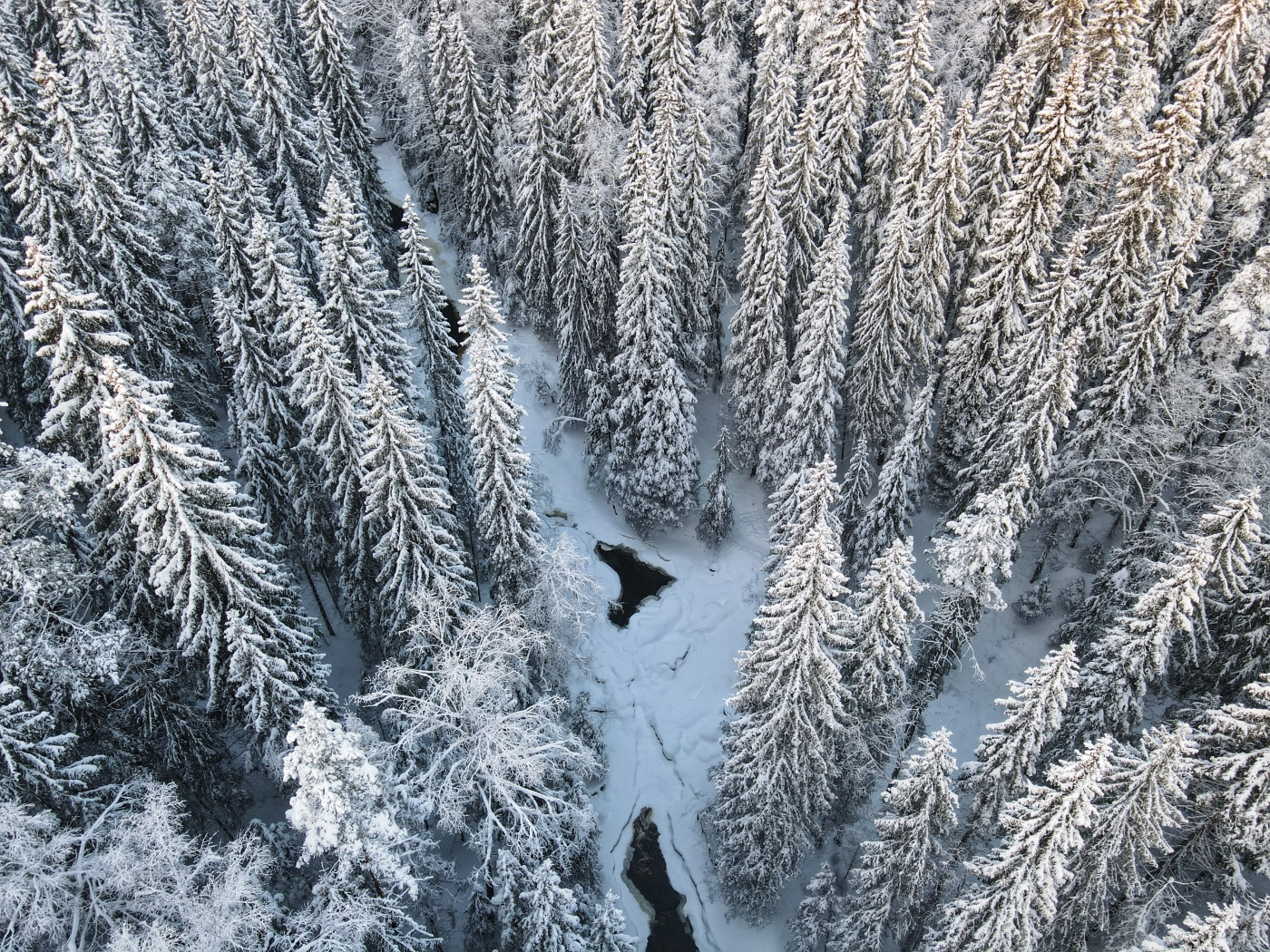 Забронировать билеты на Двухдневный тур «Вояж вокруг Ладожского озера ...