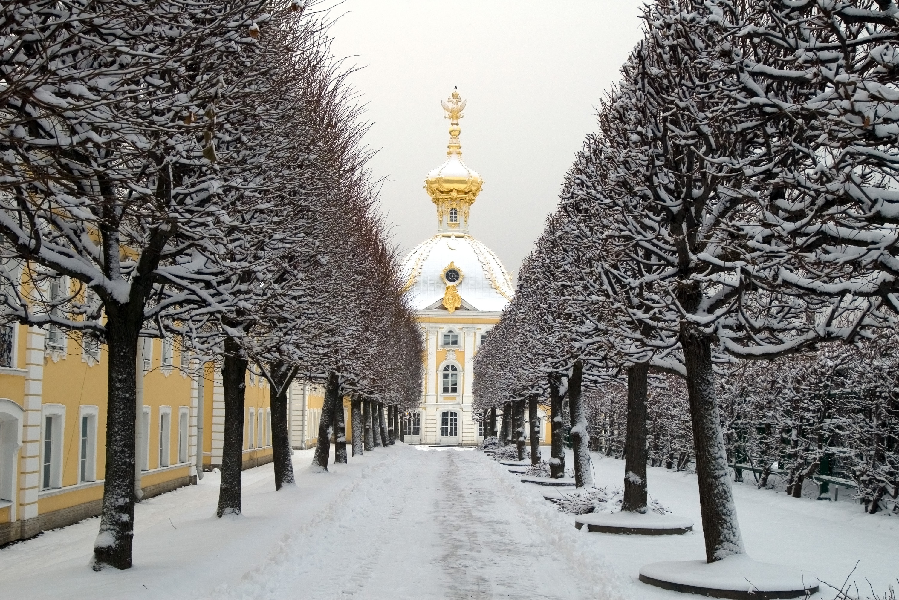 Петергоф в декабре. Парк в Санкт-Петербурге зимой Петергоф. Петергоф парк зимой. Заснеженный Петергоф.